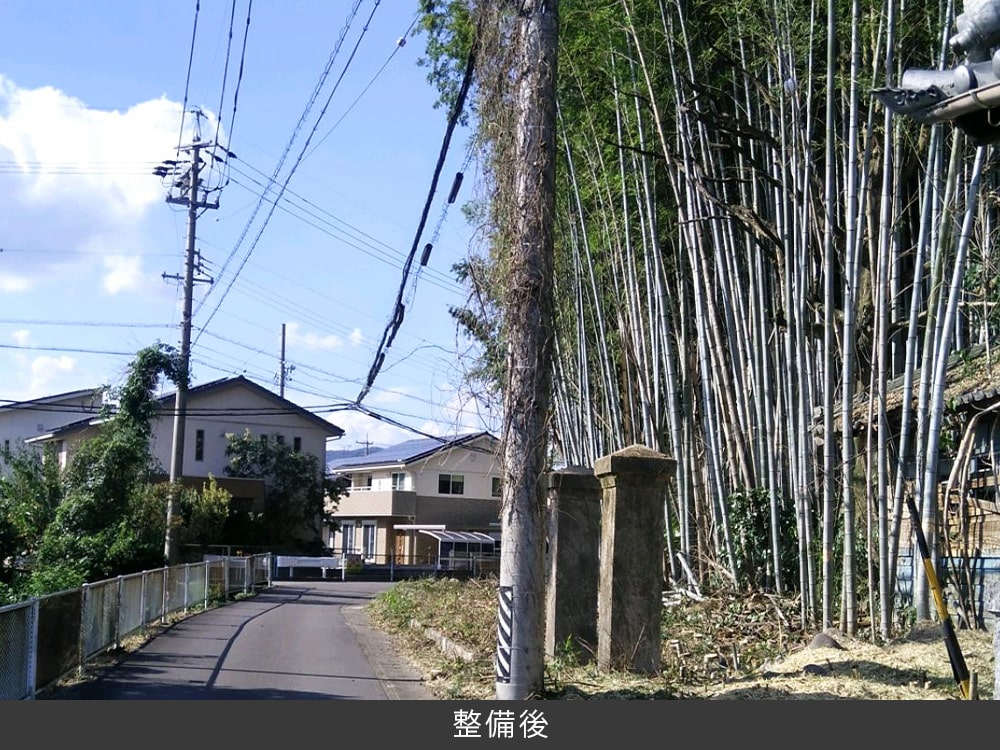 チッパー機で粉砕し竹林に戻す